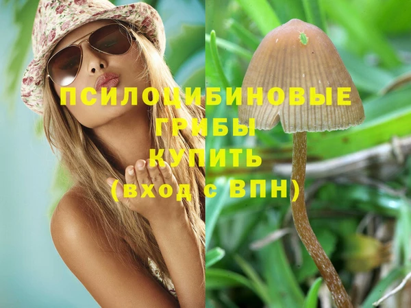спайс Алексин