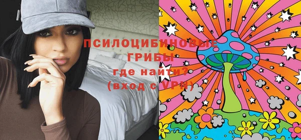 спайс Алексин