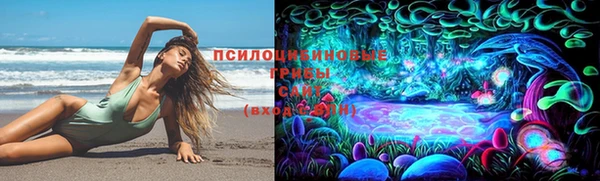 spice Алзамай