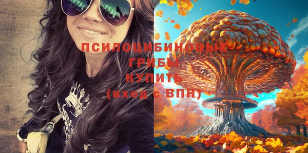 spice Алзамай