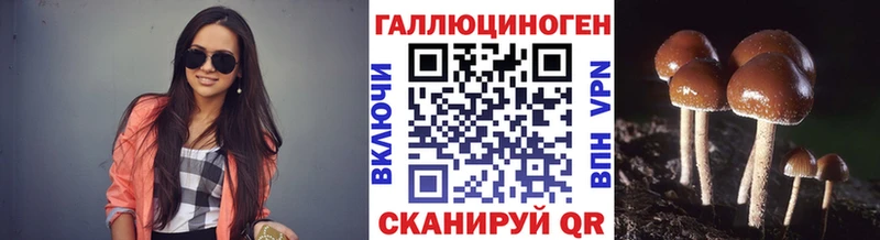 Псилоцибиновые грибы MAGIC MUSHROOMS Курлово